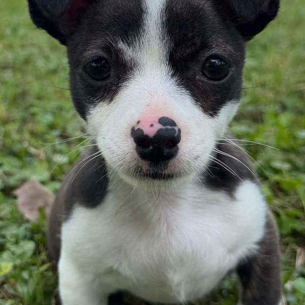 Max — 5