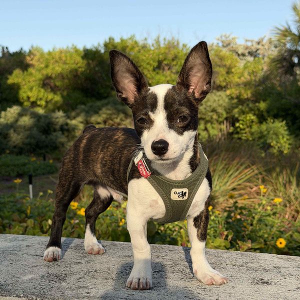 Max — 9