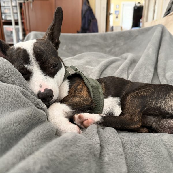 Max — 3