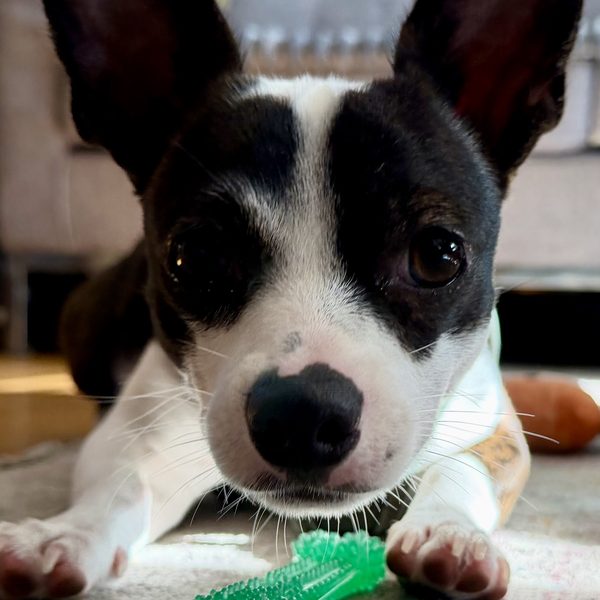 Max — 2
