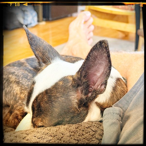 Max — 1