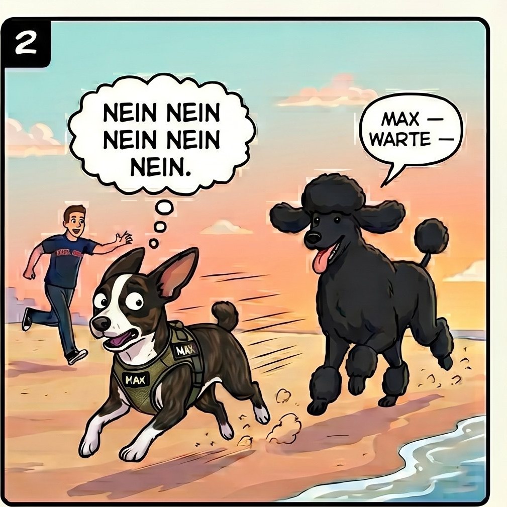 Der grosse Pudel — panel 2
